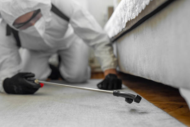 Professional Pest Control technician working in Floyd County County, KY